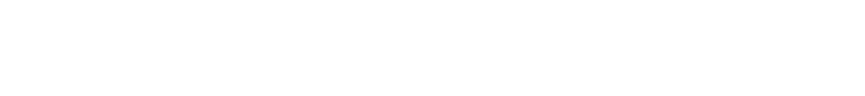 light logo